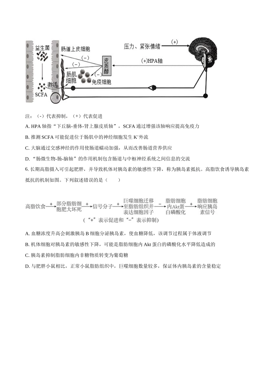 望城二中高二期中考试生物试卷-学生用卷.docx_第3页