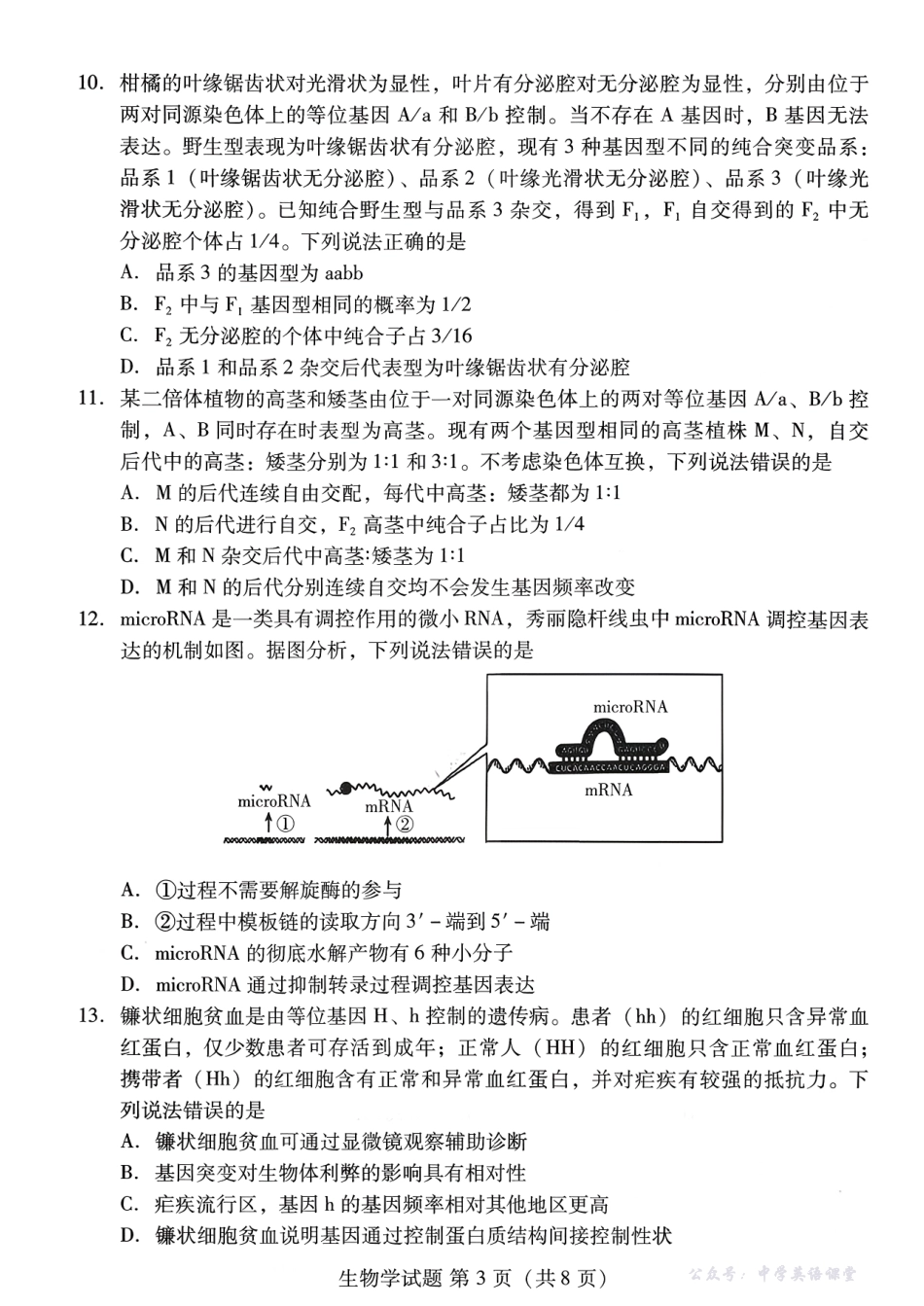 潍坊市2026届高三上学期11月阶段性诊断监测生物.pdf_第3页