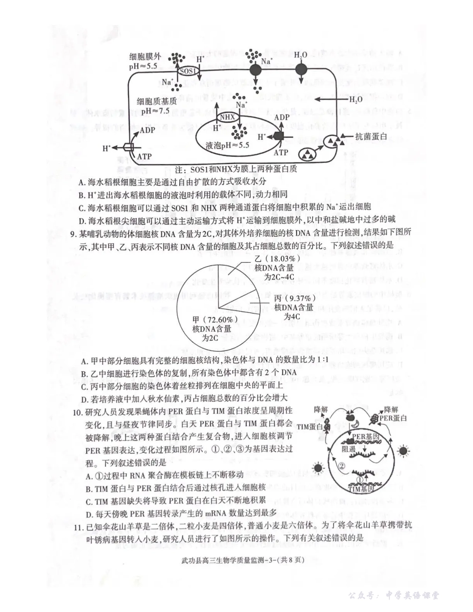 武功县2026届11月高三质量监测生物.pdf_第3页