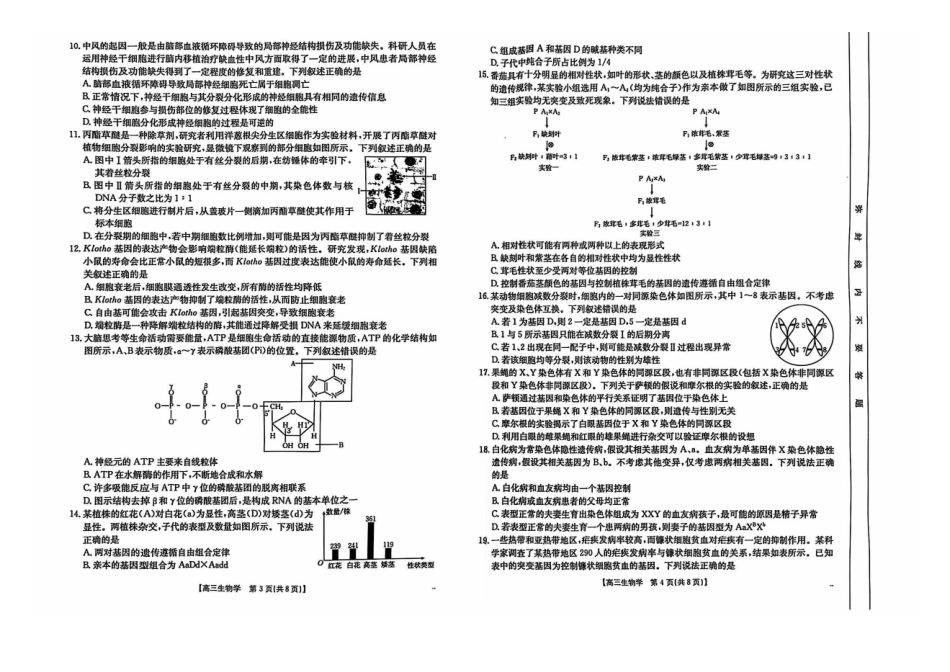 新疆维吾尔自治区塔城市塔城地区第一高级中学2024-2025学年高三上学期0月期中生物试题.pdf_第2页