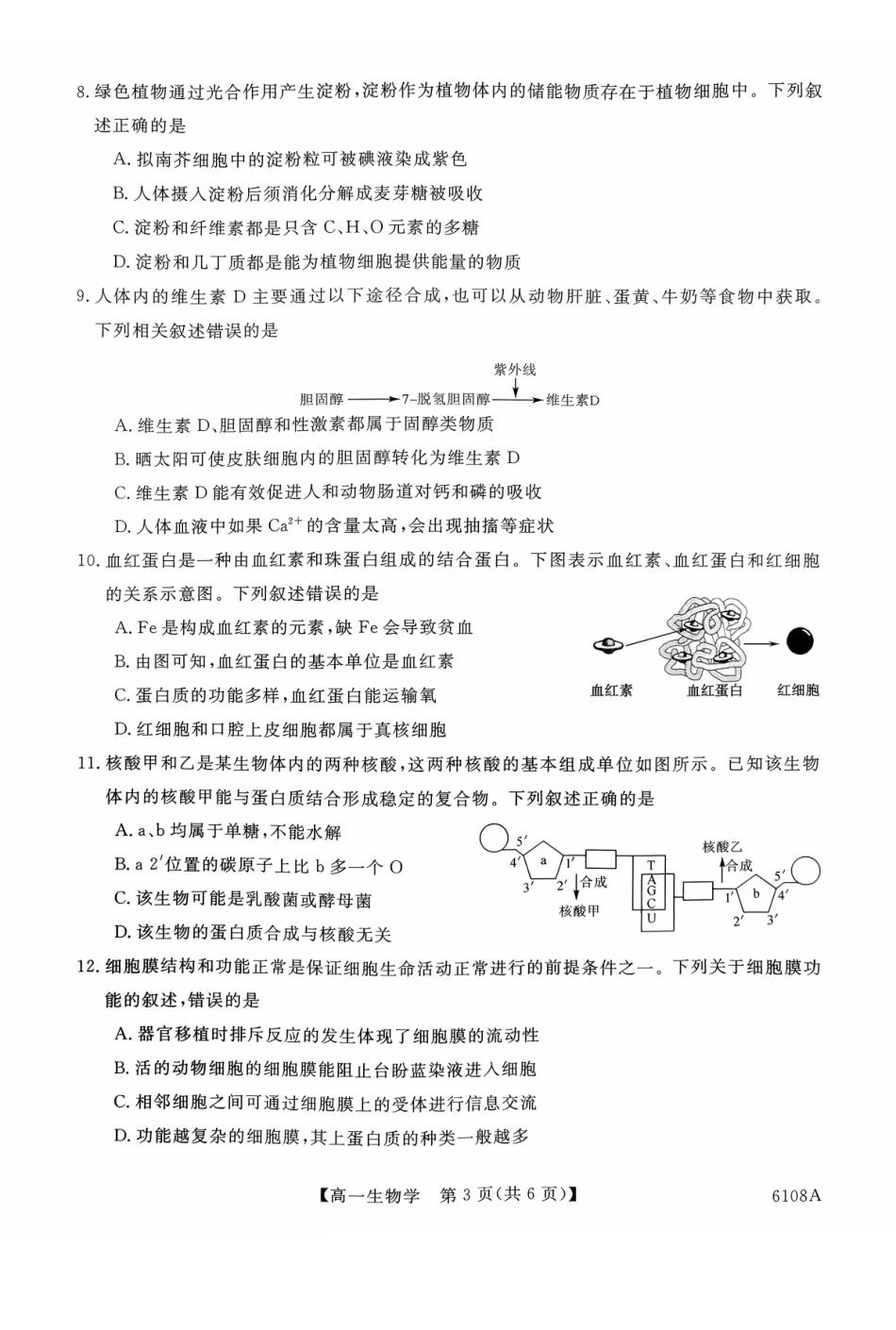 新未来高一生物试题.pdf_第3页