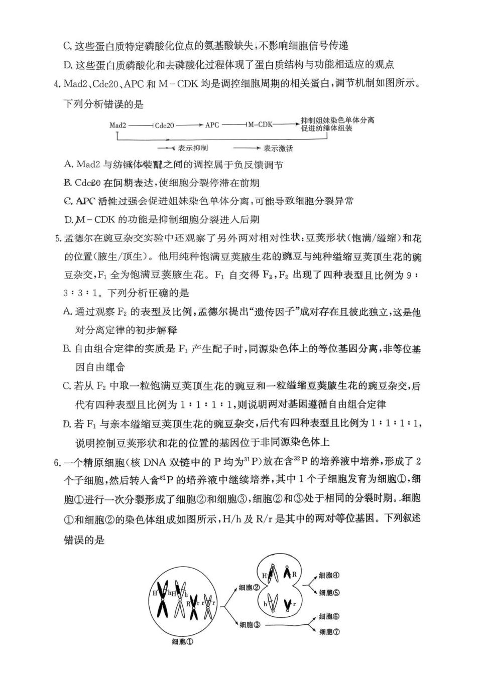 雅礼中学2026届高三月考试卷（三）生物().pdf_第2页