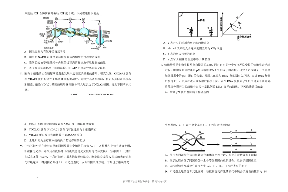 银川一中2026届高三年级第三次月考生物+答案().pdf_第2页