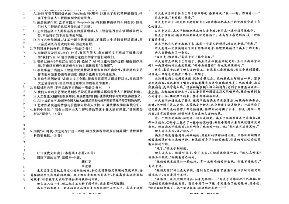 语文试卷【Top35强校】安徽省合肥一六八中学2025届高三最后一卷(耀正(优+)文化)(5.29-5.30).pdf_第2页