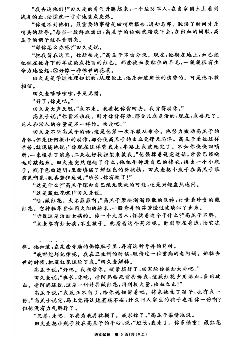 语文试卷【Top35强校】安徽省合肥一六八中学2025届高三最后一卷(耀正(优+)文化)(5.29-5.30).pdf_第3页