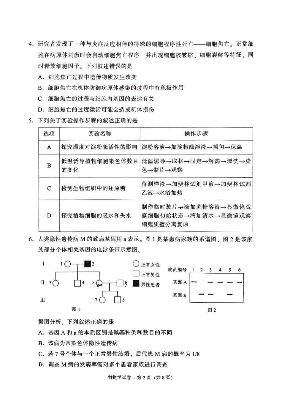 云南省昆明市五华区2024-2025学年高三上学期期中教学质量检测生物试题.pdf_第2页