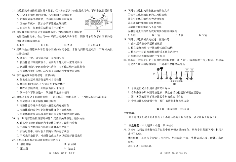 云南师范大学附属中学2024-2025学年高一上学期期中考试生物含解析(可编辑).pdf_第3页