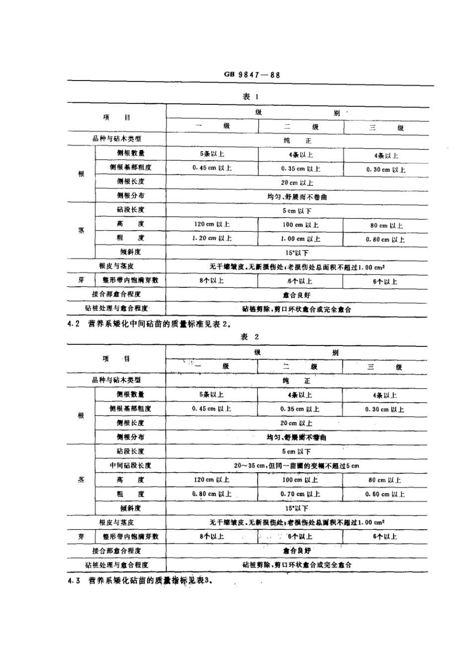 GB 9847-1988 苹果苗木.pdf_第2页