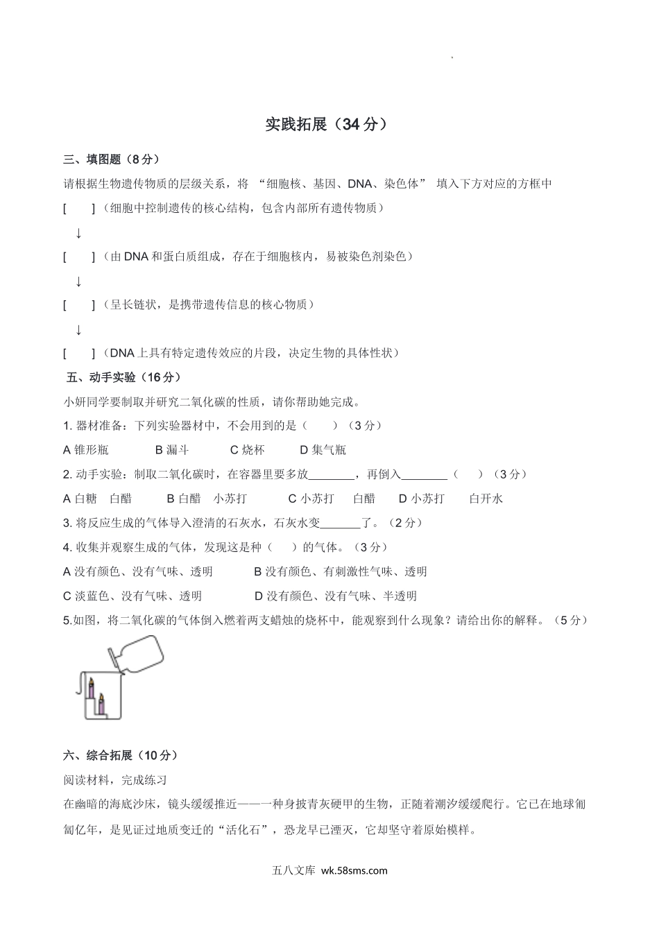 苏教版2025-2026学年小学六年级科学上册期中学情检测试卷.docx_第3页