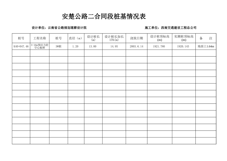 2025年工程资料模板：检桩情况表.xls_第2页