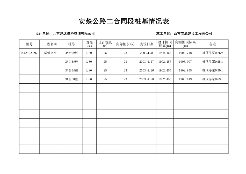 2025年工程资料模板：检桩情况表.xls_第3页