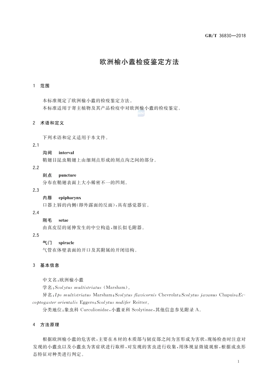 GBT 36830-2018 欧洲榆小蠹检疫鉴定方法.pdf_第3页