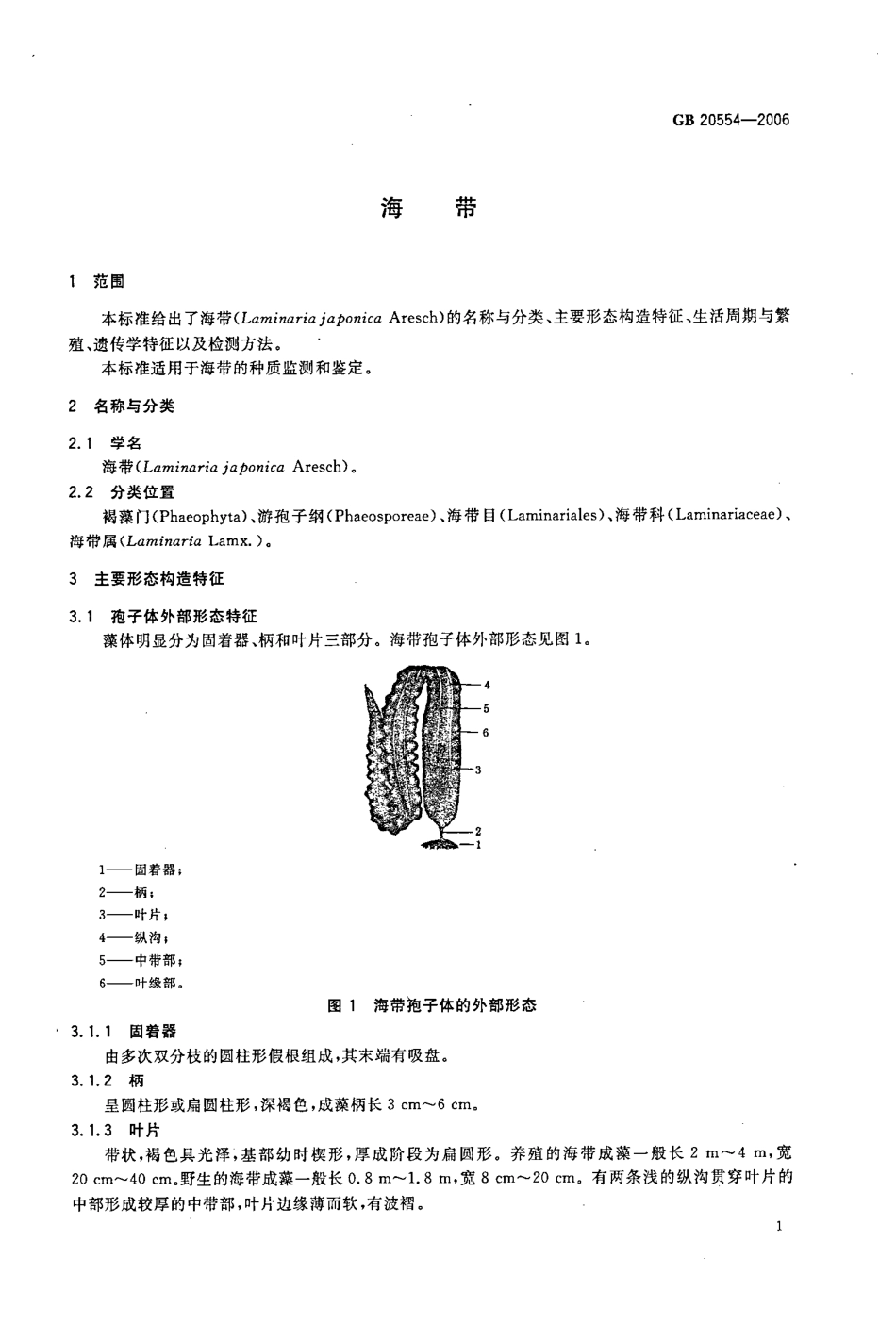 GBT 20554-2006 海带.pdf_第3页