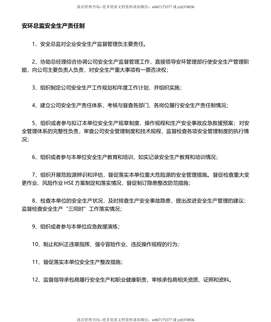 05-2020年度安全生产责任制(安全总监).doc_第1页