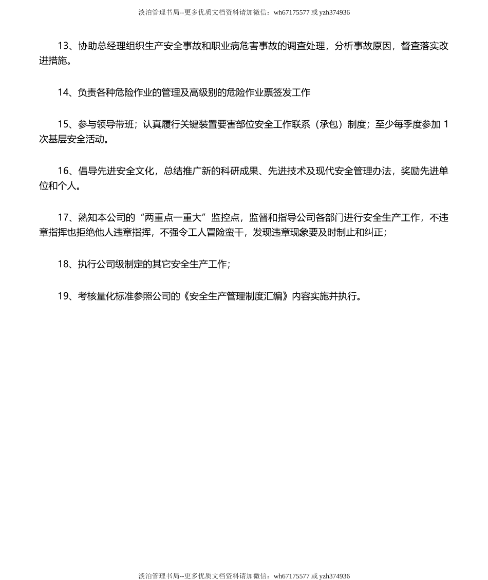 05-2020年度安全生产责任制(安全总监).doc_第2页