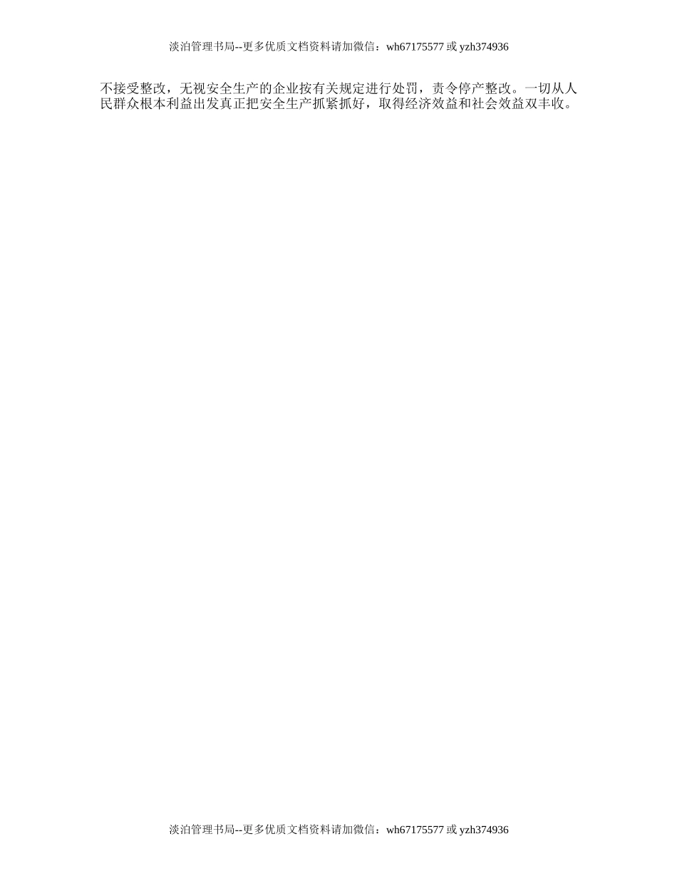 12.乡镇企业安全生产工作计划.doc_第3页