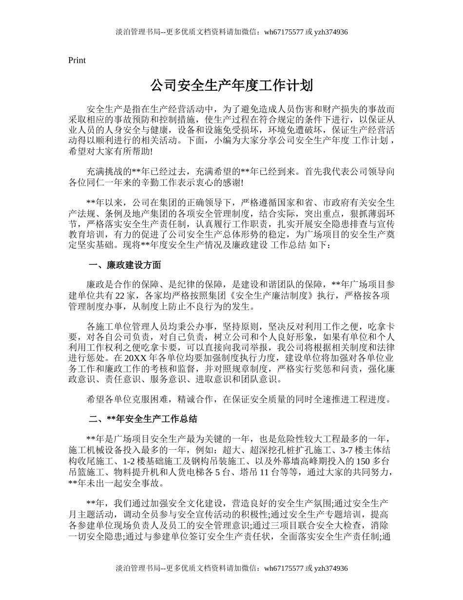 19.公司安全生产年度工作计划.doc_第1页