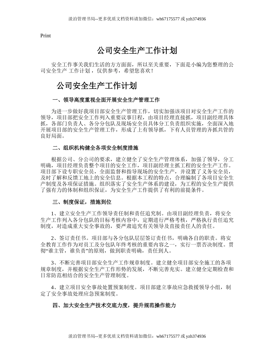 117.公司安全生产工作计划.doc_第1页