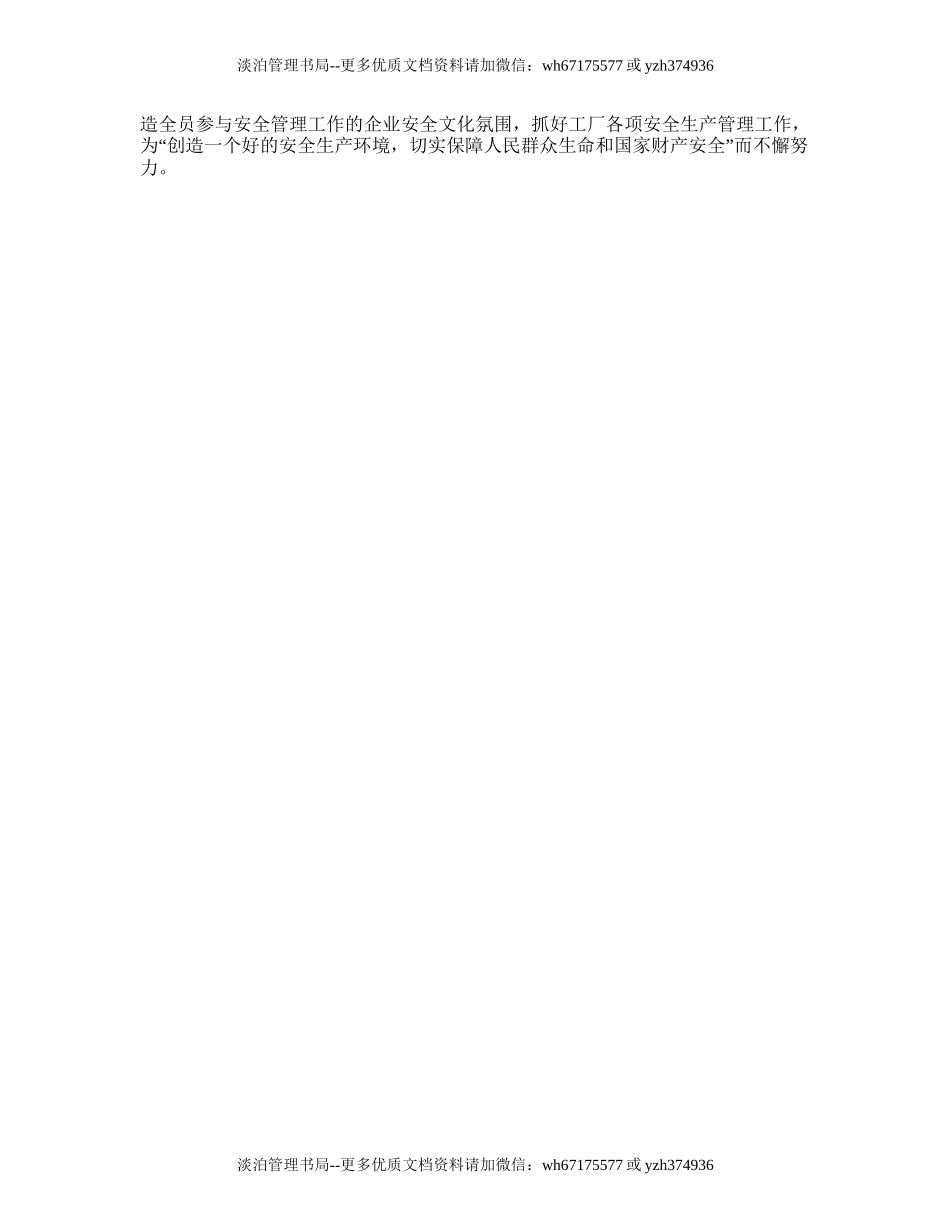 130.安全生产工作计划书.doc_第2页