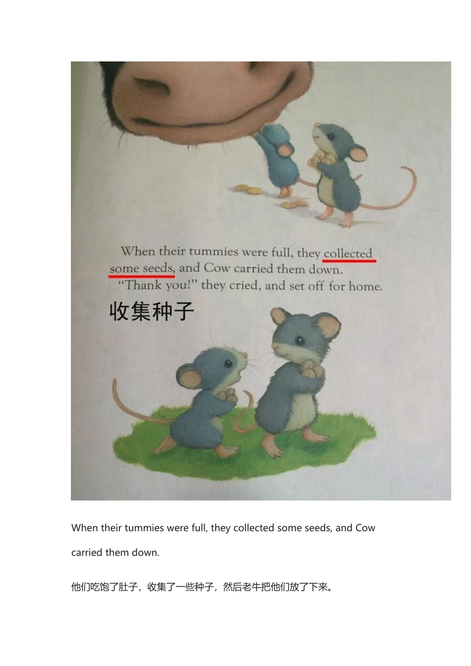 7本英文绘本帮你教孩子“播种”到“开花”的全过程.docx_第2页