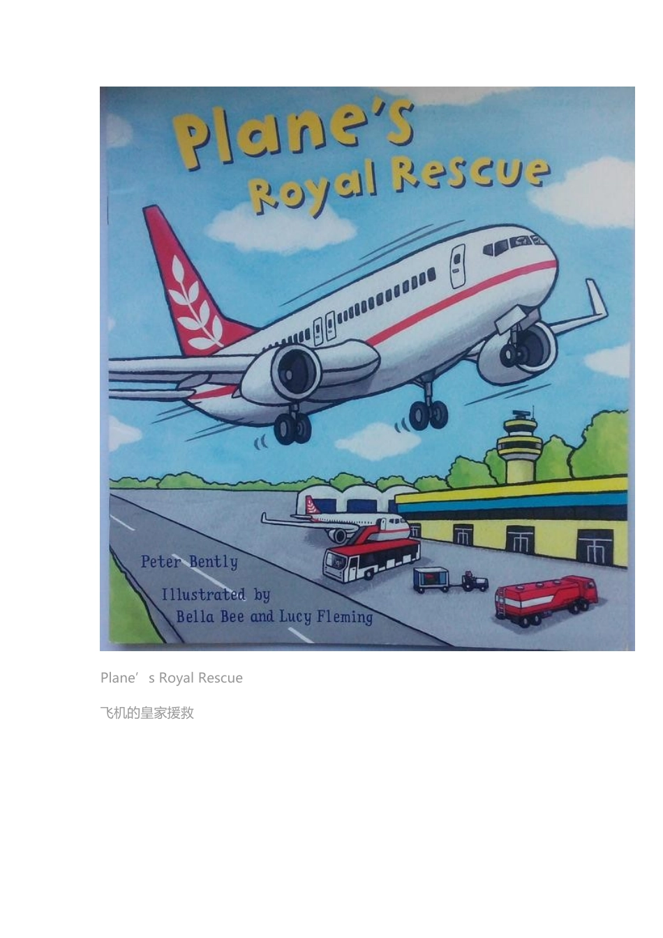 精讲绘本教给宝宝坐飞机的英文《飞机的皇家援救》.docx_第2页