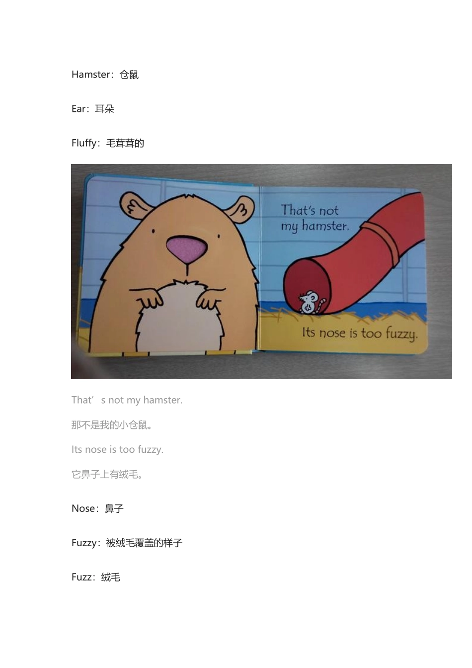 精讲一本可触摸的宝宝绘本:那不是我的小仓鼠.docx_第2页