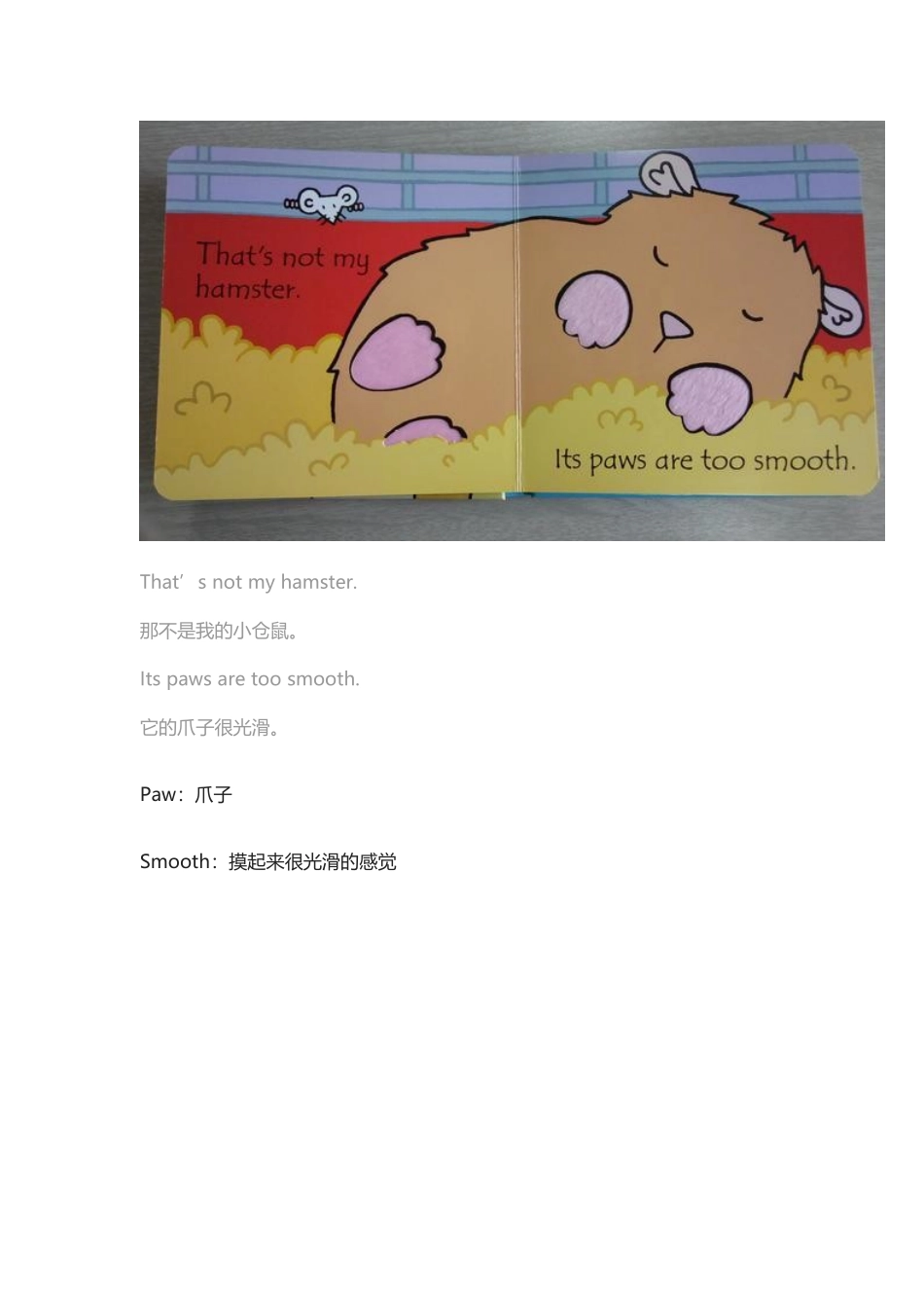 精讲一本可触摸的宝宝绘本:那不是我的小仓鼠.docx_第3页