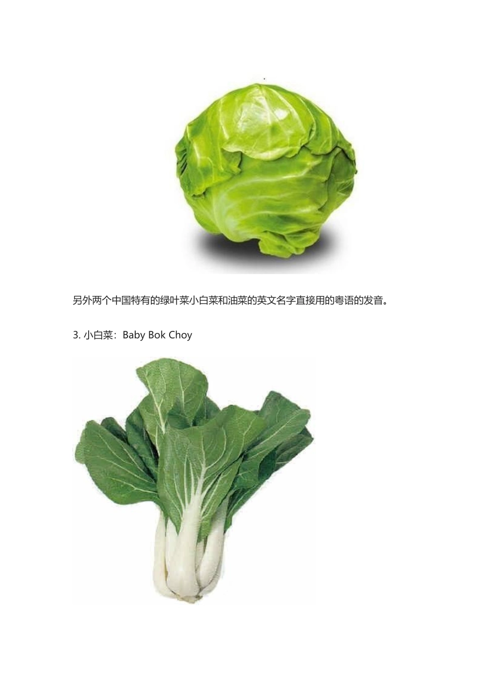 那些前面加个Chinese就能翻译出来的蔬菜.docx_第3页