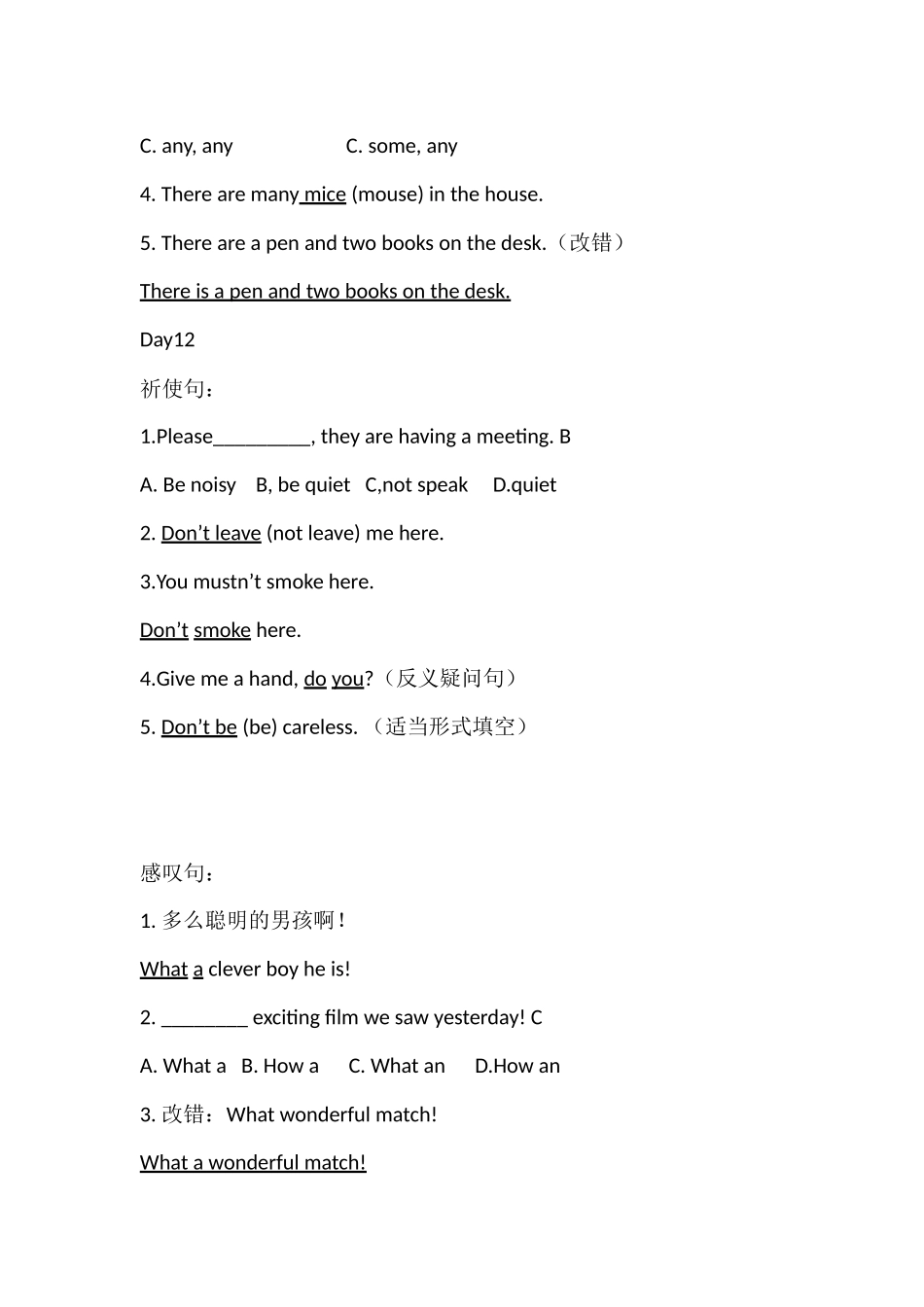 小学语法提高班测试卷题集day10-12.docx_第3页