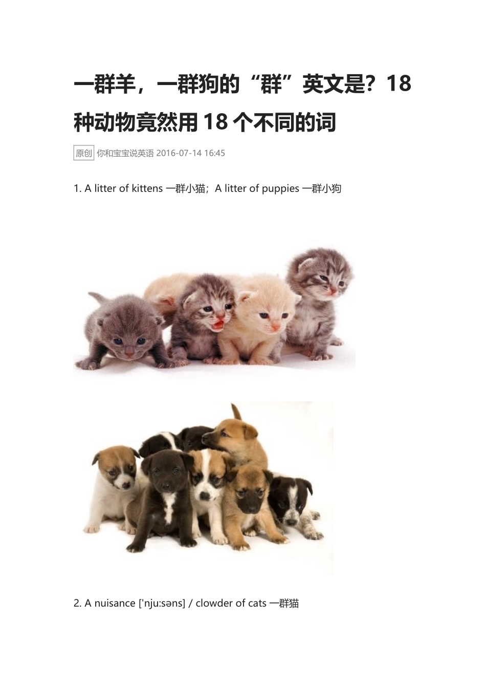 一群羊，一群狗的“群”英文.docx_第1页