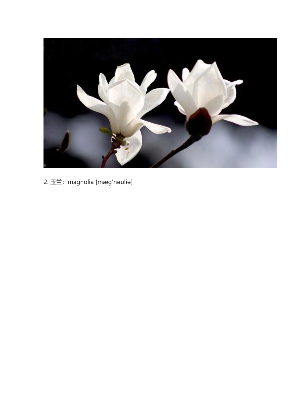 中国十大名花”.docx_第2页