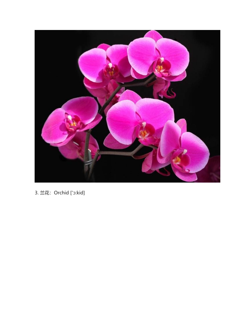 中国十大名花”.docx_第3页