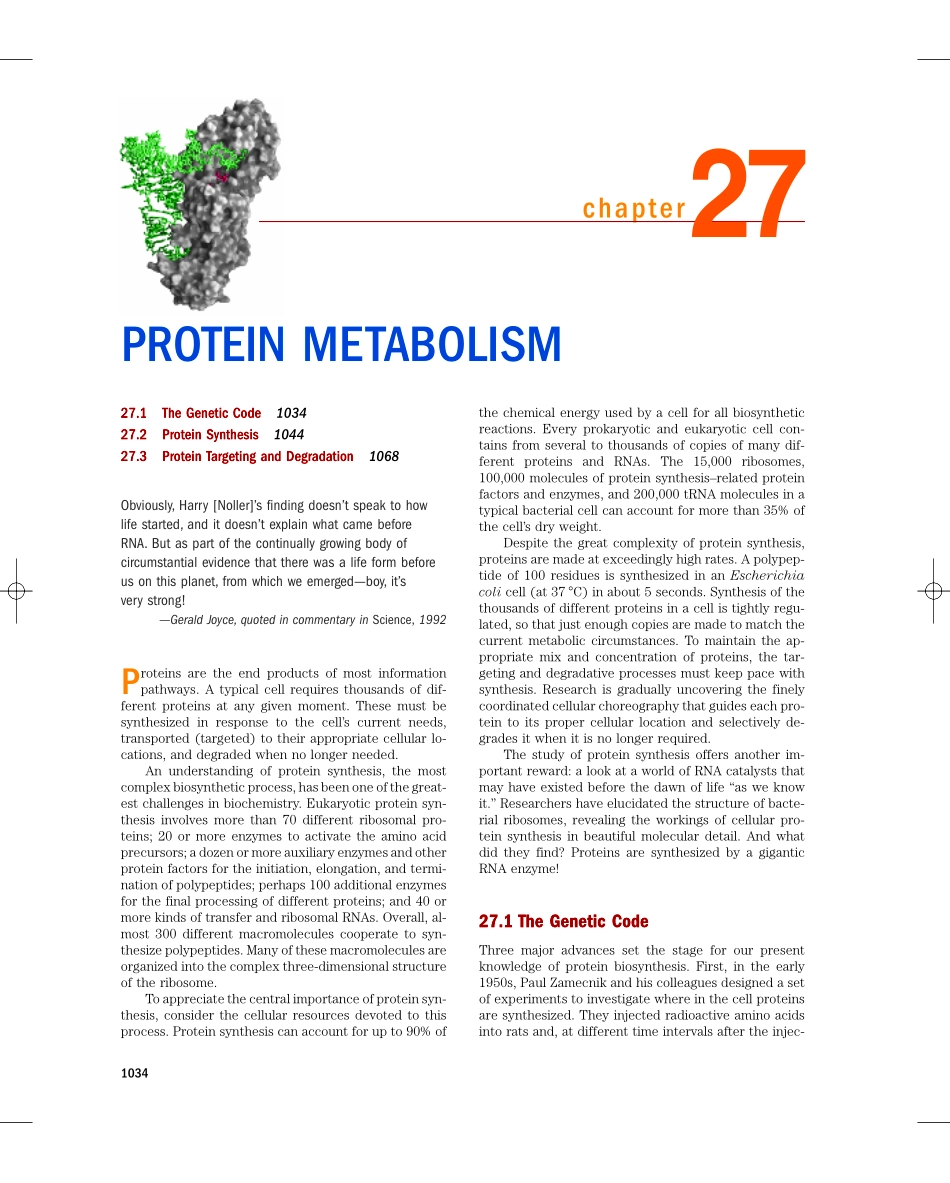 chap27+++++PROTEIN+METABOLISM.pdf_第1页