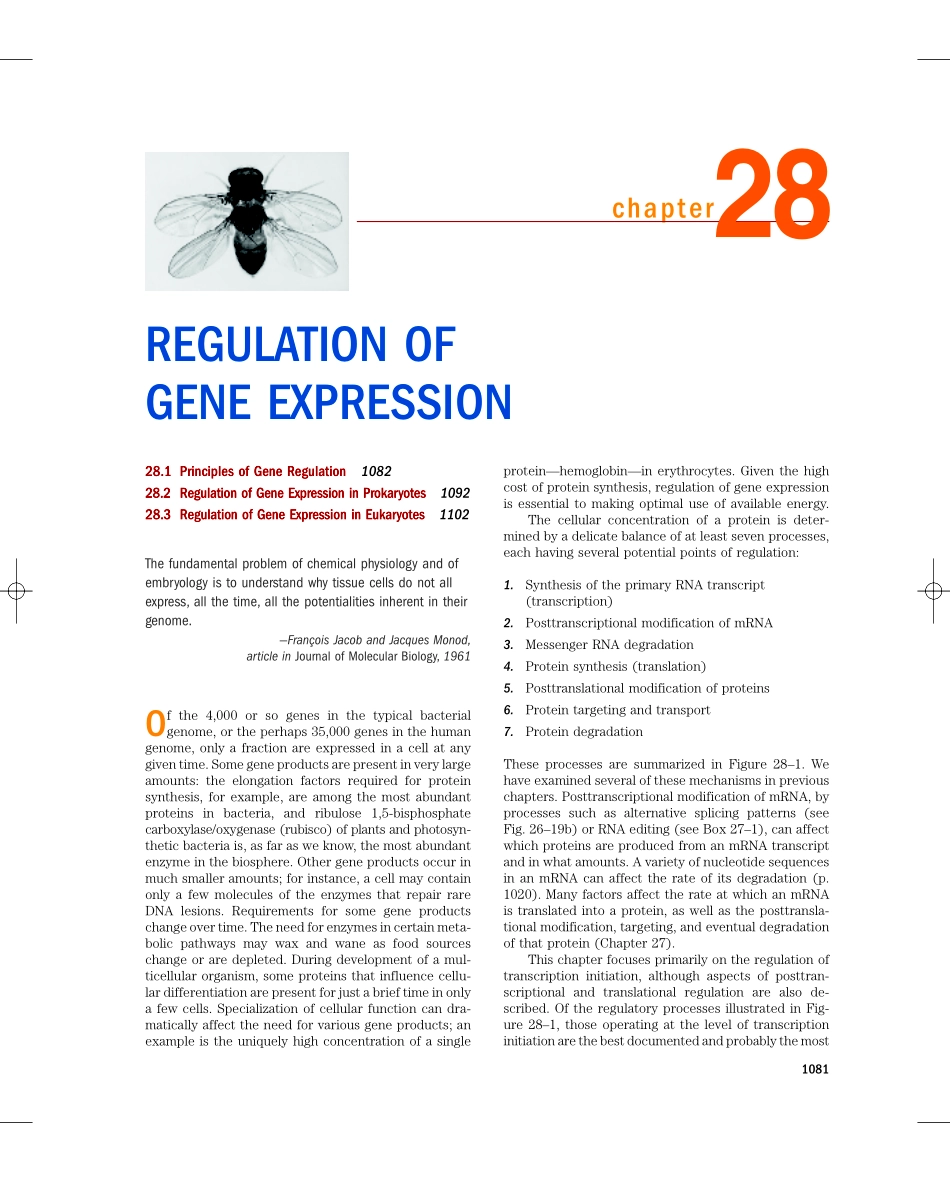 chap28+++++REGULATION+OF+GENE+EXPRESSION.pdf_第1页