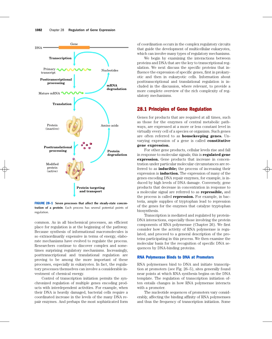 chap28+++++REGULATION+OF+GENE+EXPRESSION.pdf_第2页