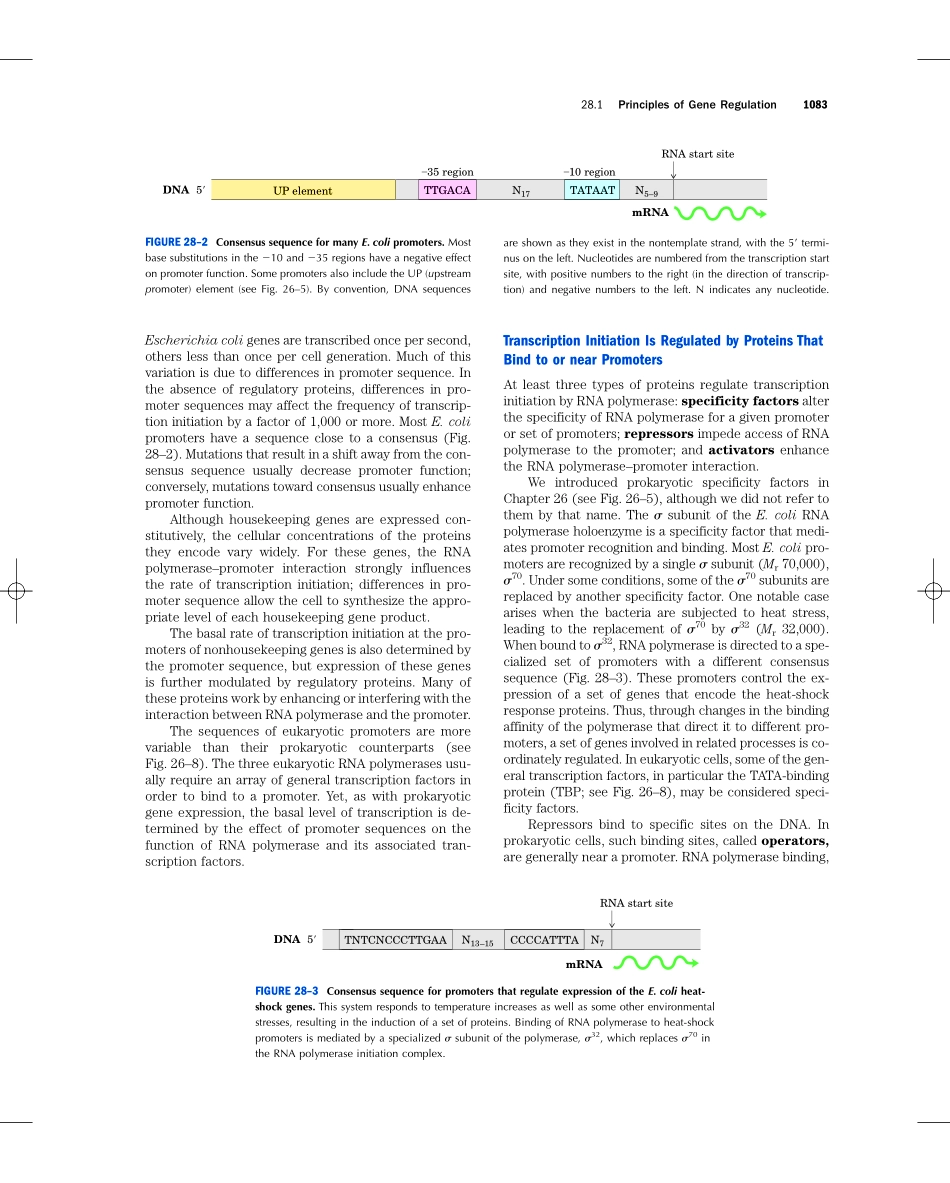 chap28+++++REGULATION+OF+GENE+EXPRESSION.pdf_第3页