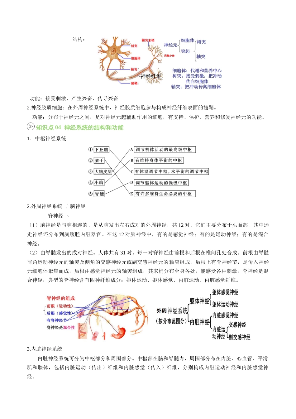 【02-暑假预习】第03讲神经调节的结构基础(学生版)-2025年新高二生物暑假衔接讲练(人教版).docx_第2页