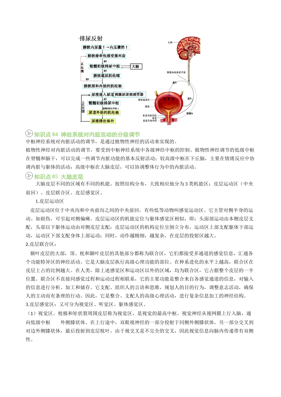 【02-暑假预习】第06讲神经系统的分级调节(教师版)-2025年新高二生物暑假衔接讲练(人教版).docx_第2页