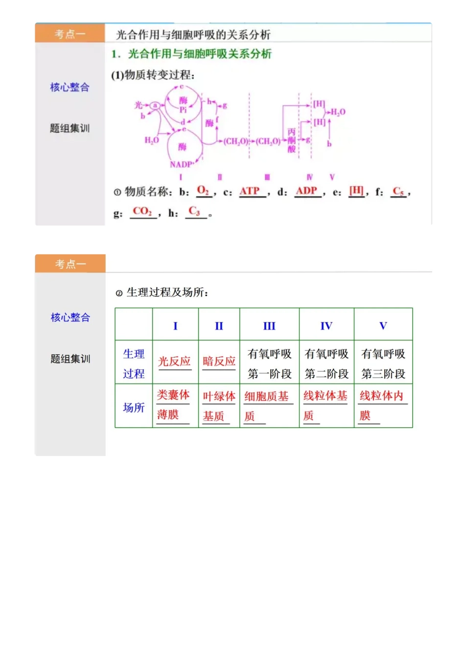 【高中生物】“光合作用”与“细胞呼吸”考点详解及题目训练.pdf_第2页