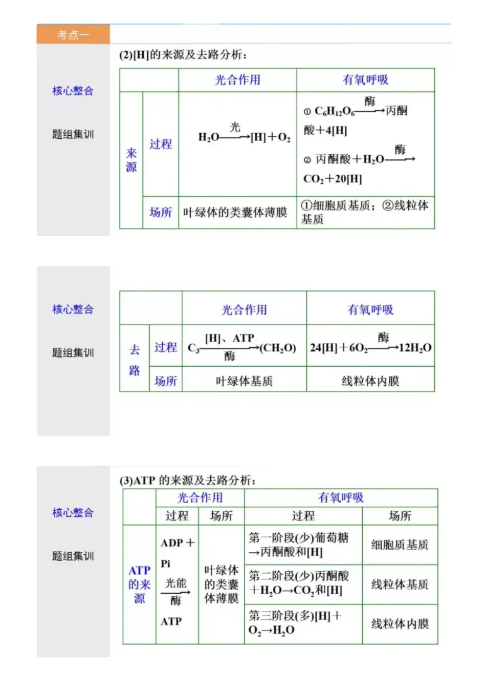 【高中生物】“光合作用”与“细胞呼吸”考点详解及题目训练.pdf_第3页