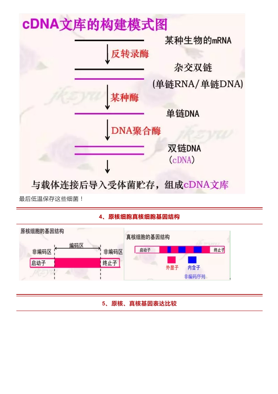 【高中生物】基因工程中9个重要知识的图解建议收藏掌握~.pdf_第3页