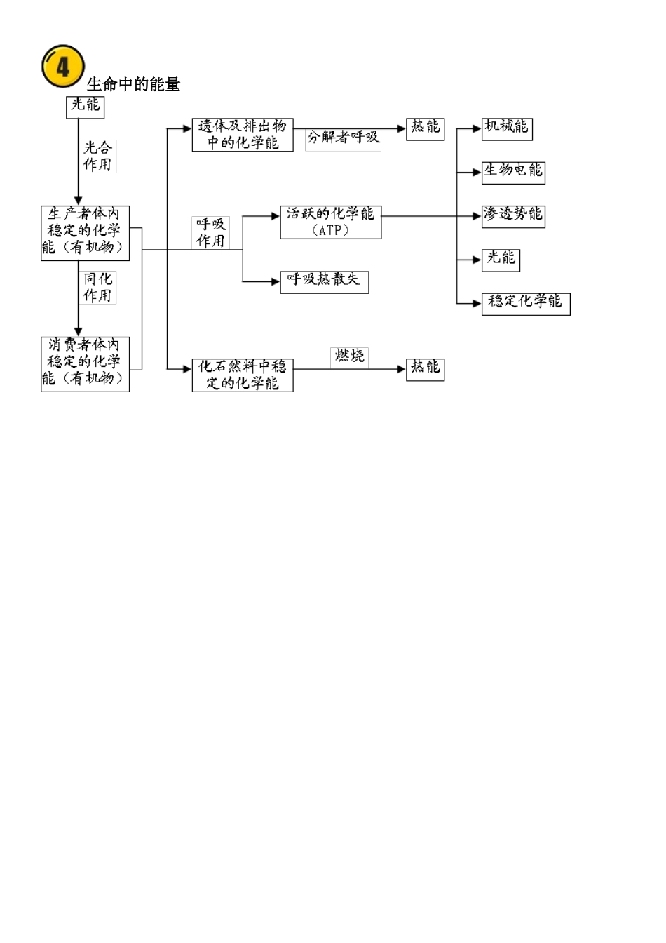 【高中生物】知识结构图全汇总！.docx_第3页