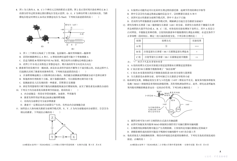 【生物】（A卷）A10联盟＆宿州十三校2024级高二上学期11月期中质量检测生物学A.pdf_第2页