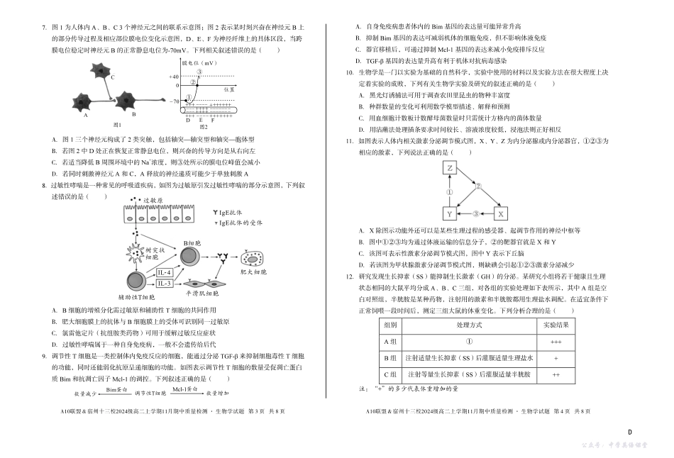 【生物】（D卷）A10联盟＆宿州十三校2024级高二上学期11月期中质量检测生物学d.pdf_第2页