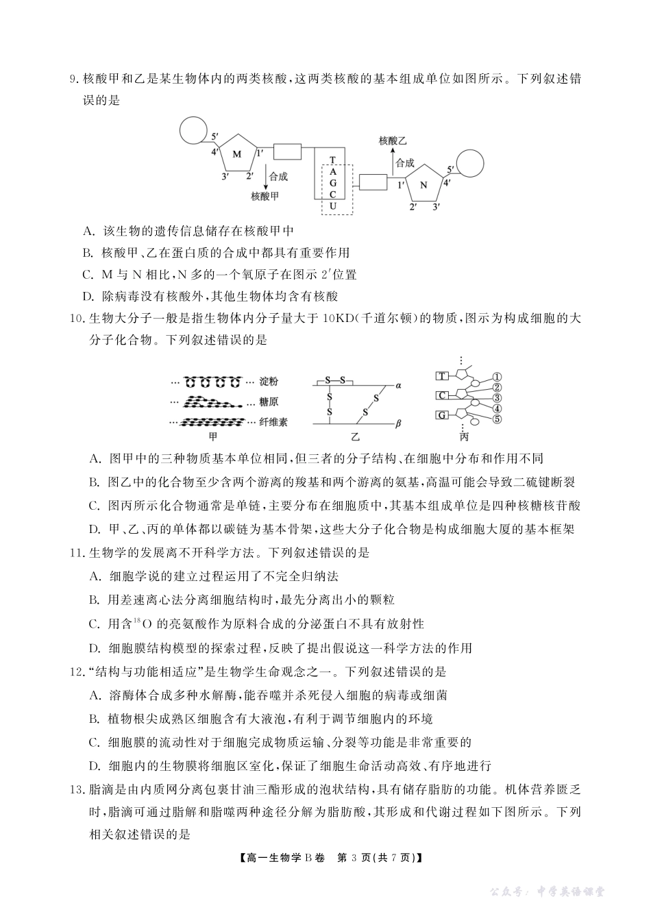 【生物B卷】安徽省鼎尖名校大联考2025-2026学年上学期高一11月期中考试.pdf_第3页