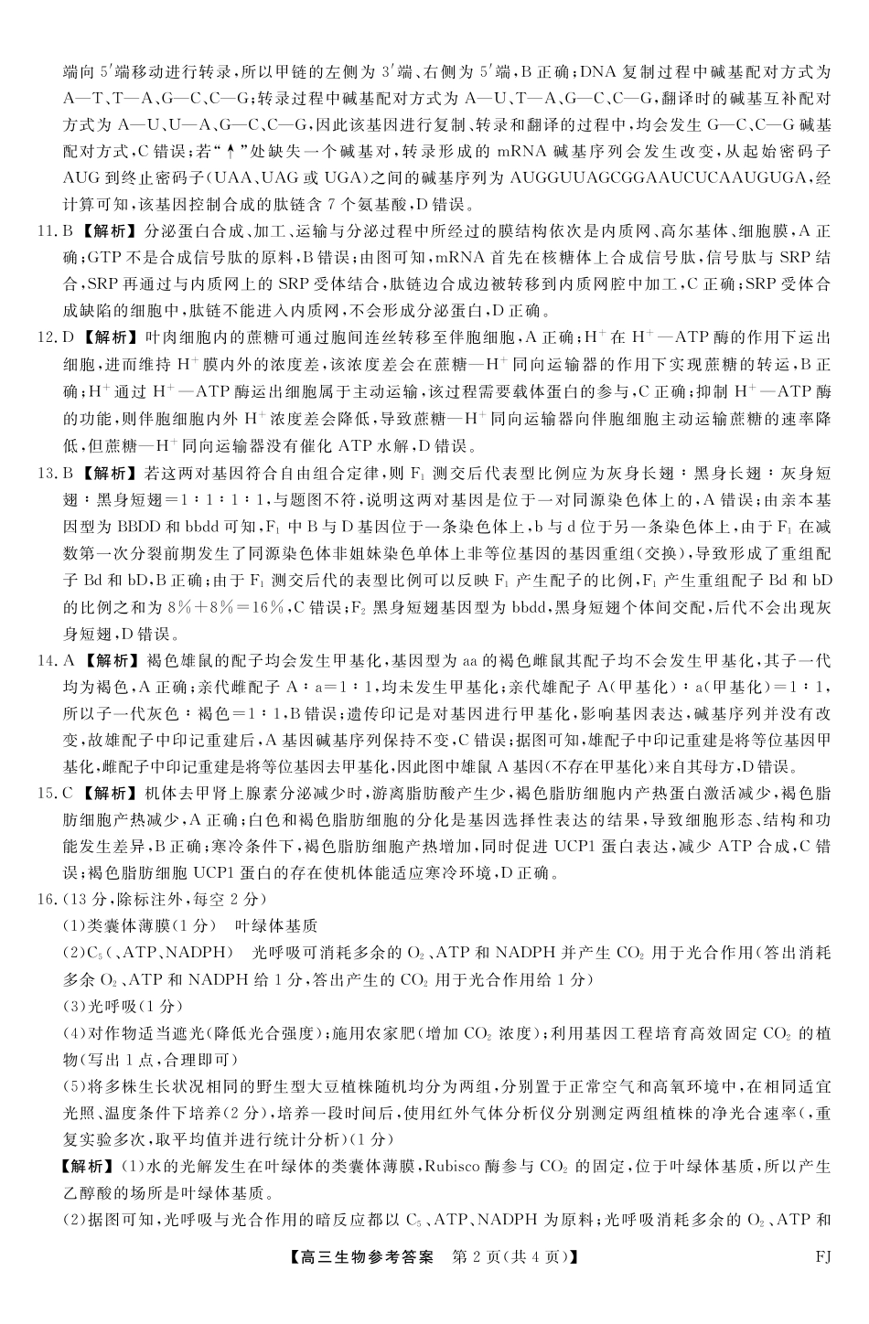 【生物答案】金太阳(下标FJ)2025-2026学年度高三11月百校联合测评(11.13-11.14).pdf_第2页
