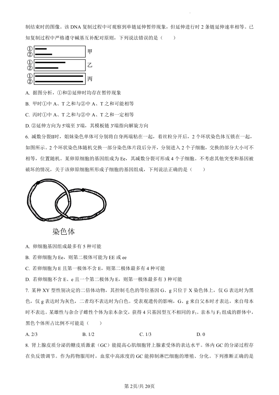 2024年全国生物联赛广东省预选赛试题+答案.pdf_第2页