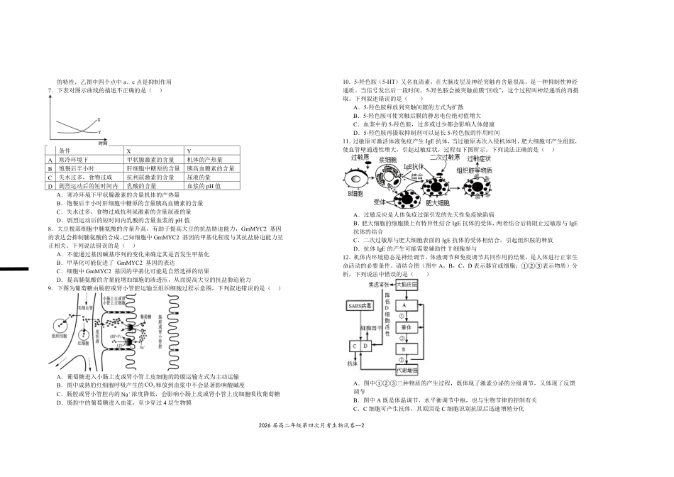 2026届高二年级第四次月考生物试卷.pdf_第2页