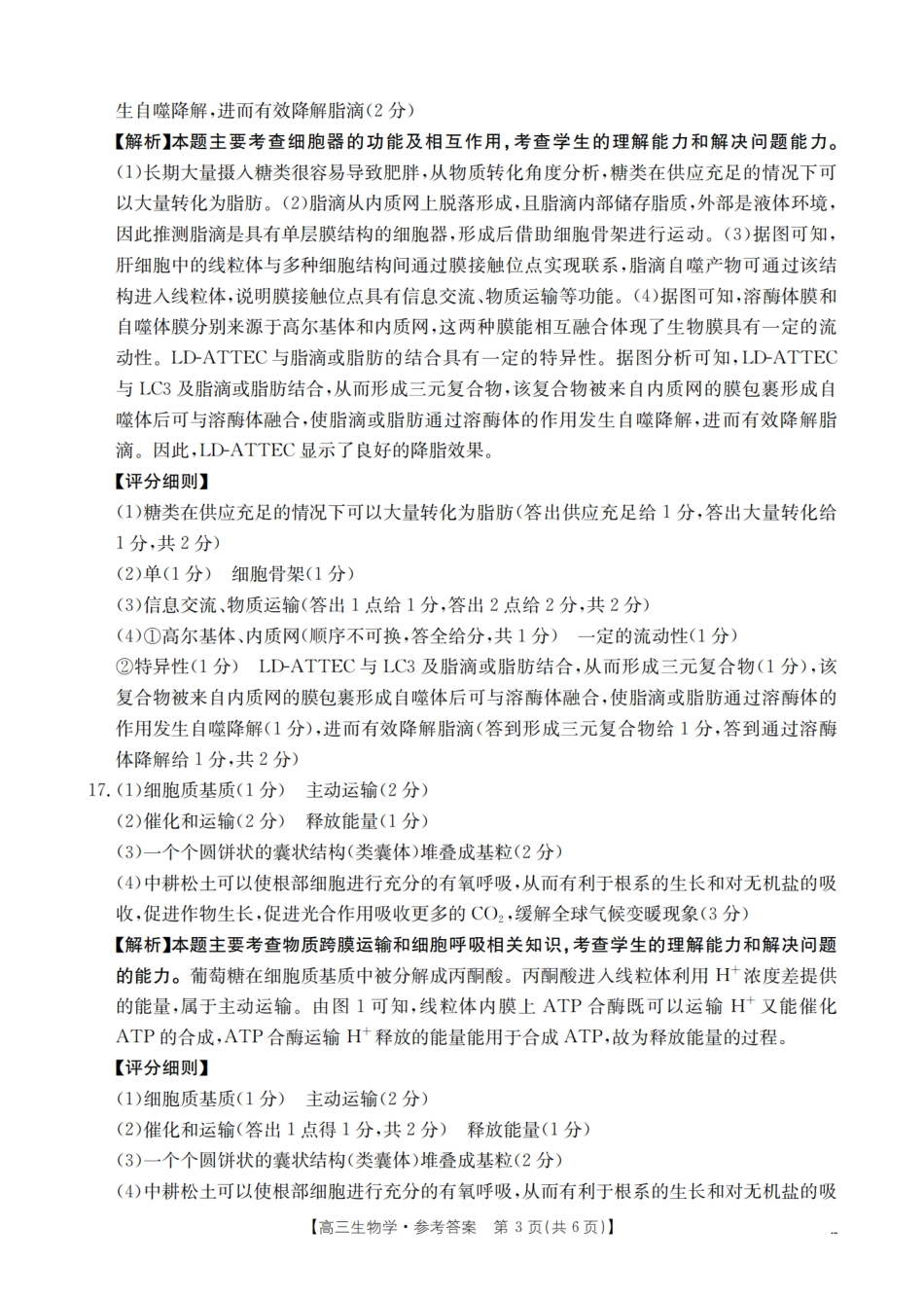 2026届高三上学期10月联考（26-38C）生物答案.pdf_第3页