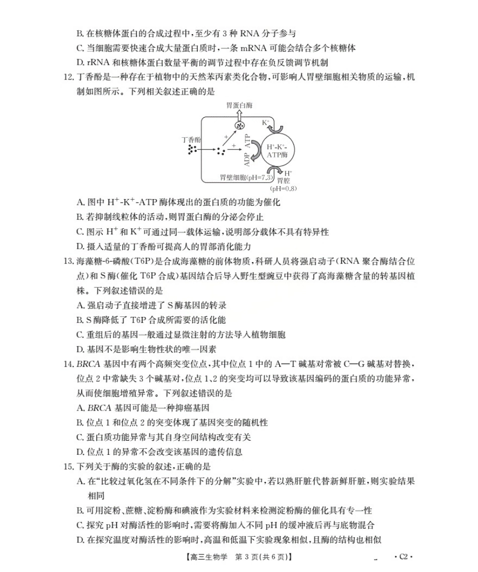 2026届高三上学期10月联考生物C2.pdf_第3页